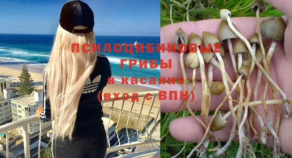 молекула духа Баксан