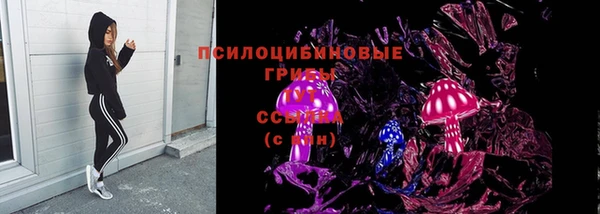 шишки Аркадак