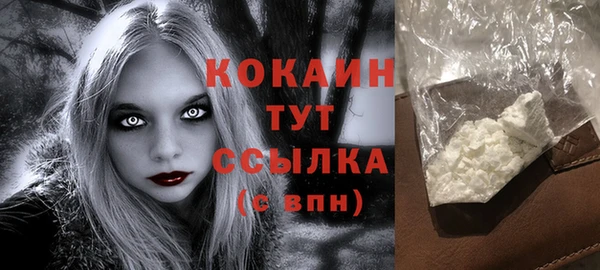 шишки Аркадак