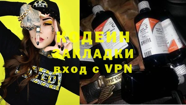 шишки Аркадак