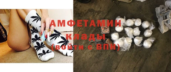 шишки Аркадак